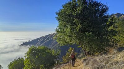 Ungewöhnlicher Nebel um diese Jahreszeit, aber darüber ist es toll