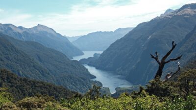 Der Doubtful Sound liegt geheimnisvoll schimmernd unter uns