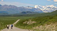 Der schönste Radweg Alaskas …