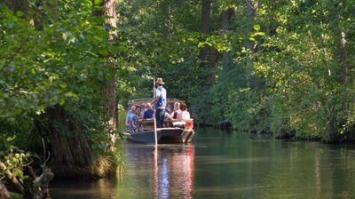 Lauschiger Kahnausflug durch das wildromantische Spreearme-Labyrinth