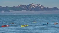 Auch eine Kayaktour lässt sich organisieren