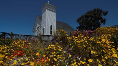 Die Gärten in Mendocino sind einen Blick wert ...