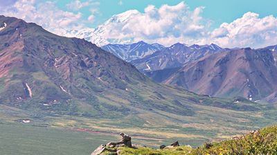 Vorne: Murmeltier. Hinten: Der Denali