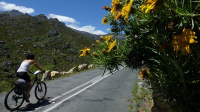 ... die Bainskloof Schlucht hoch ...