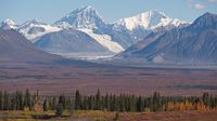 Panorama am Denali Highway