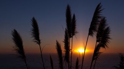 Schließlich versinkt die Sonne leise zischend im Meer