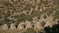 Bevor wir zu unserer Wanderung starten, besichtigen wir die noch perfekt erhaltenen Wildrose Charcoal Kilns