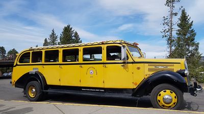 Die Nationalparkverwaltung hat die historischen Ausflugsbusse perfekt restaurieren lassen; jede Sitzreihe hat ihre eigene Tür