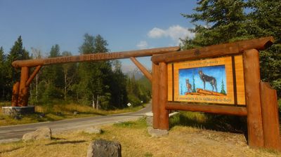 Wieder auf dem Bow Valley Parkway unterwegs ...