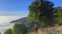 Ungewöhnlicher Nebel um diese Jahreszeit, aber darüber ist es toll