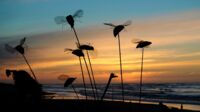 Treibholzkunst 2 am Strand von Hokitika