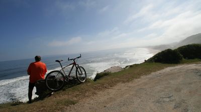 Blick in die Plettenberg Bay