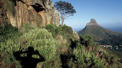 Blick auf den Lion's Head ...