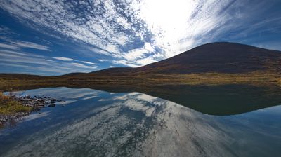 Wilde Spiegelungen unterwegs