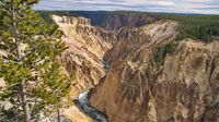 Deswegen heißt er Yellowstone