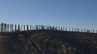 Eine fast endlose Reihe von 'Totempfählen' verschönert den sichelförmigen Gipfel der Halde Haniel
