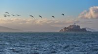 Mitten in der Bucht liegt das ehemalige, berüchtigte Hochsicherheitsgefängnis Alcatraz, darüber fliegt eine Pelikanpatrouille.