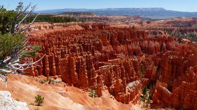 Blick in den Bryce Canyon ...