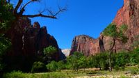 Impression des Zions Canyon ...