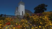 Die Gärten in Mendocino sind einen Blick wert ...