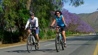 ... Radfahren wieder mal vom Feinsten