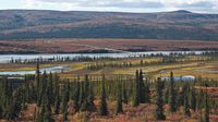 Im weiten Tal des Susitna River