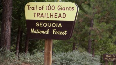 Wir haben den Sequoia National Forest erreicht