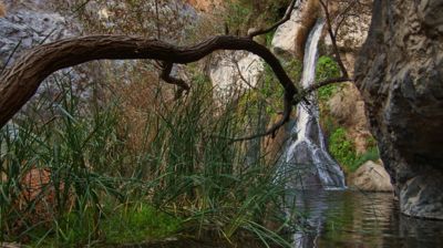 Ein kleiner, versteckter Wasserfall mitten in der Wüste. Man kann es kaum glauben, wenn man es nicht selbst gesehen hat.