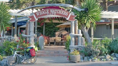 Das Whale Watcher's Cafe liegt gleich nebenan.