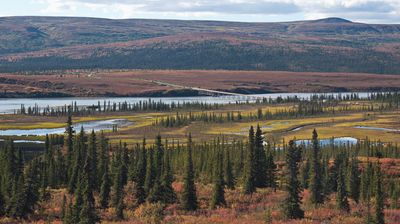 Im weiten Tal des Susitna River