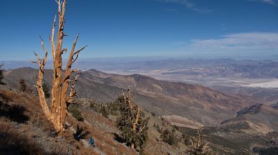 Oben in der Panamint Range – rechts unter uns die Weiten des Death Valley