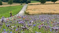 Enlang verkehrsarmer Wege ...