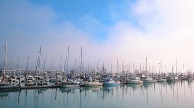 Hier liegen viele Freizeitkapitäne vor Anker