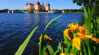 Unterwegs besuchen wir die Moritzburg ...