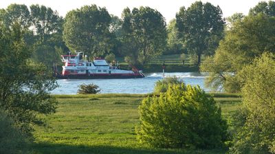 Weiter geht's entlang des Rheins.