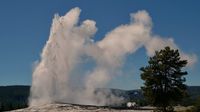 Der berühmte Old Faithful Geysir präsentiert sich pünktlich mehrmals täglich, gleich hinter unseren gemütlichen, historischen Hütten.