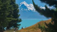 Picknickplatz am Lake Pukaki mit Mt Cook als perfekte Kulisse