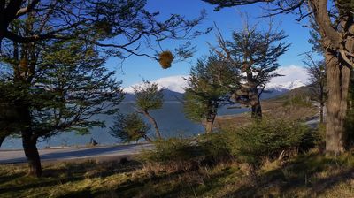 Fahrt zum Los Glaciares National Park ...