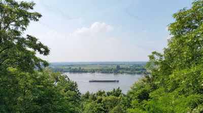 Weite Blicke vom Alsumer Berg über die Rheinauen