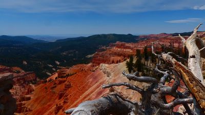 Blick in den Bryce Canyon ...