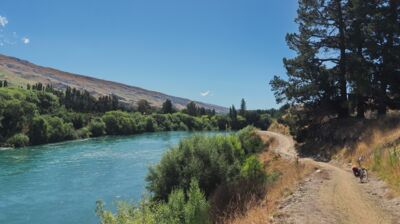 Elegant schlängelt sich unsere feine Radelstrecke entlang des Clutha River