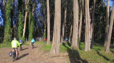 Unsere erste Radelrunde - dies hier ist mitten in San Francisco