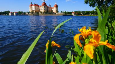 Unterwegs besuchen wir die Moritzburg ...