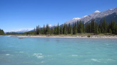 Unsere Unterkunft liegt direkt am Athabasca Fluss.