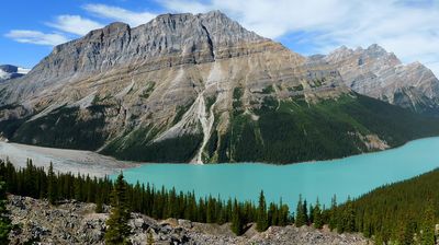 Von oben hat man einen phantastischen Blick auf den Peyto Lake.