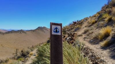 Das unauffällige Schild beweist es: Wir sind auf dem berühmten Pacific Creast Trail unterwegs