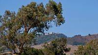 Entrückt von dieser Welt liegt Hearst Castle, das 'bescheidene' Sommerhäuschen des einst reichsten Mannes der Welt.